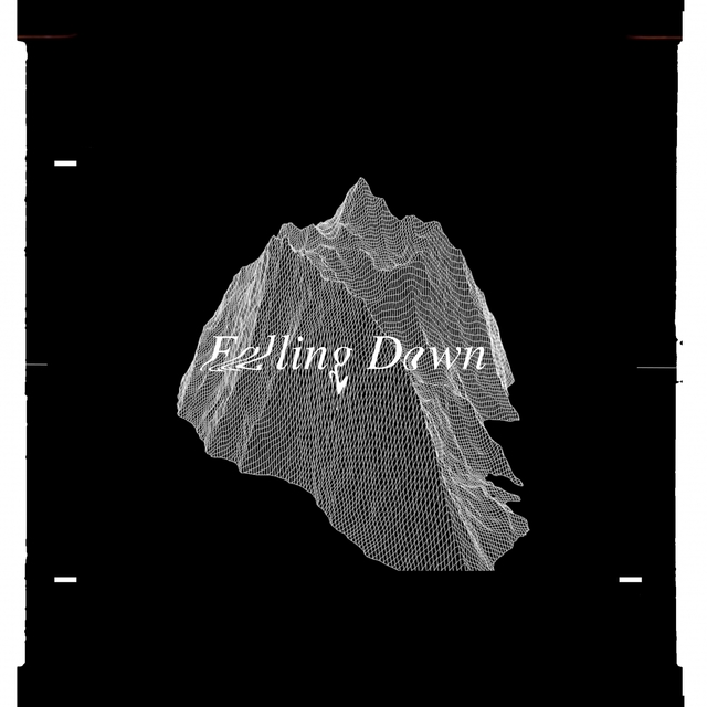 Couverture de Falling Down