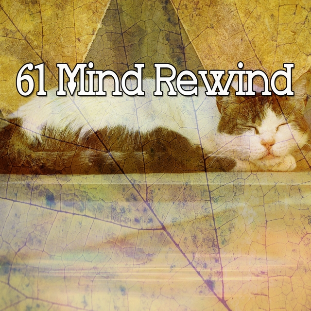 61 Mind Rewind