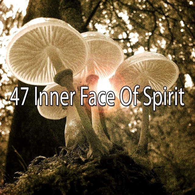 47 Inner Face of Spirit