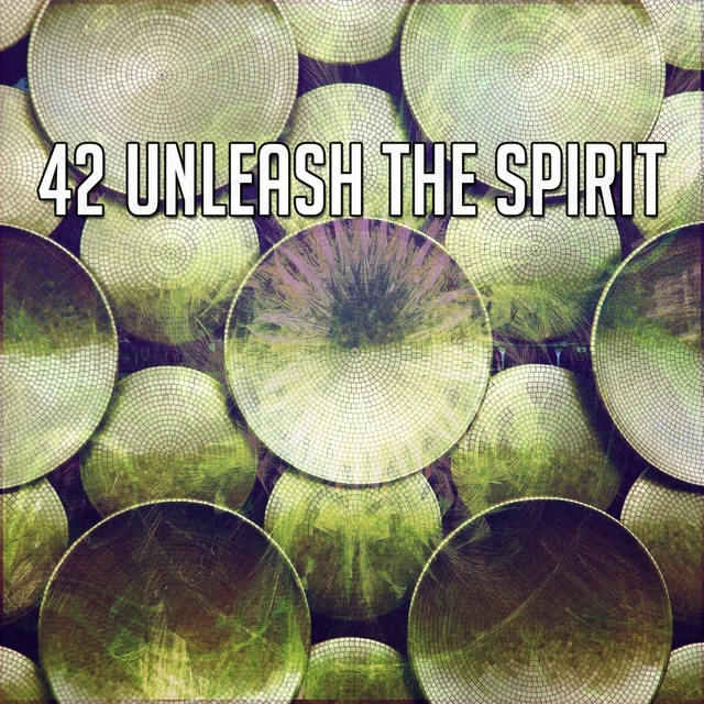 42 Unleash the Spirit