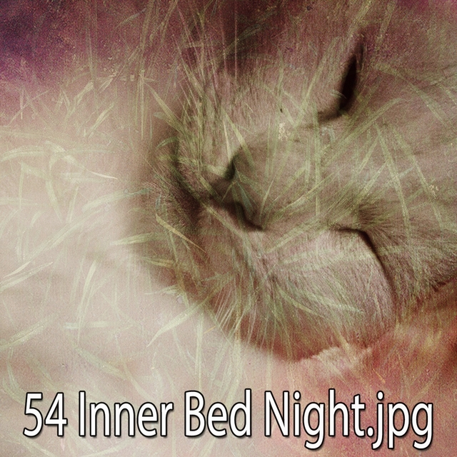 54 Inner Bed Night