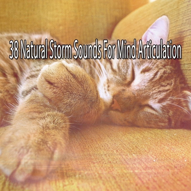 38 Natural Storm Sounds for Mind Articulation
