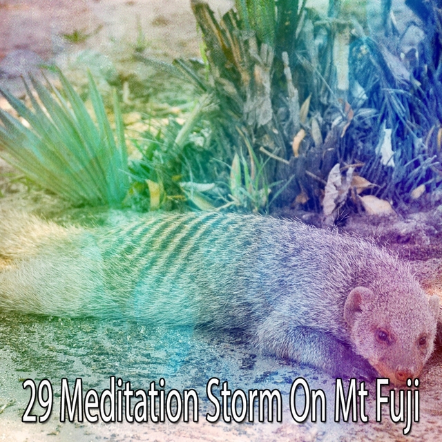 29 Meditation Storm on Mt Fuji