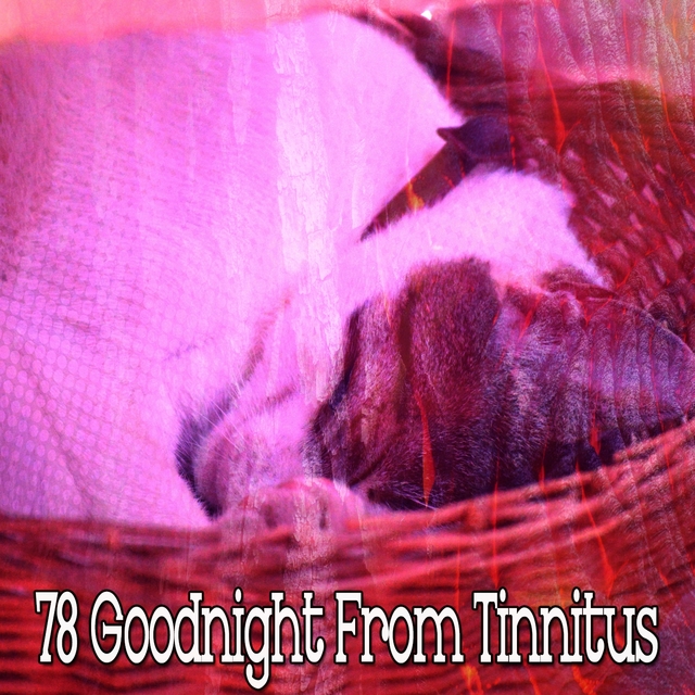 78 Goodnight from Tinnitus