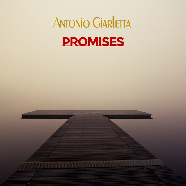 Couverture de Promises
