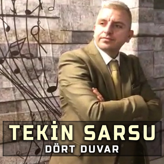 Couverture de Dört Duvar