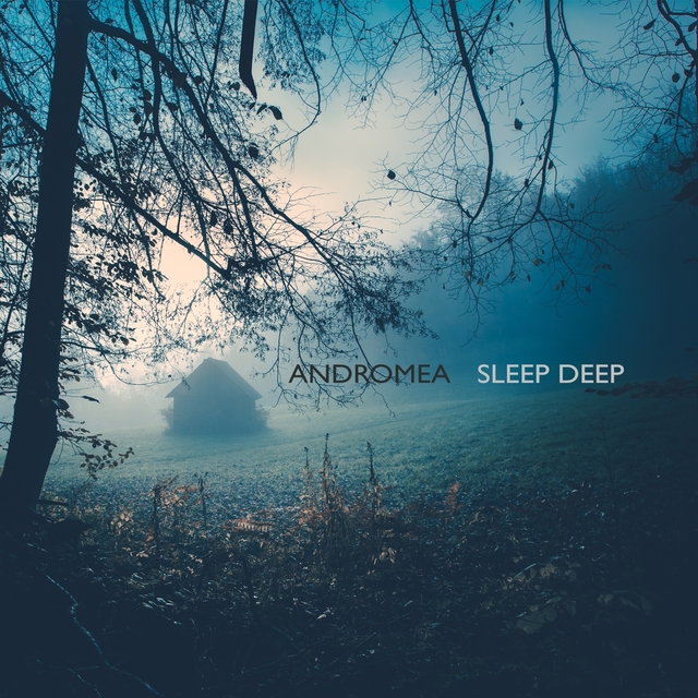 Couverture de Sleep Deep