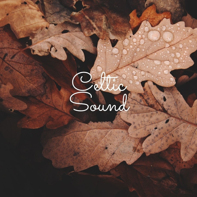 Couverture de Celtic Sound