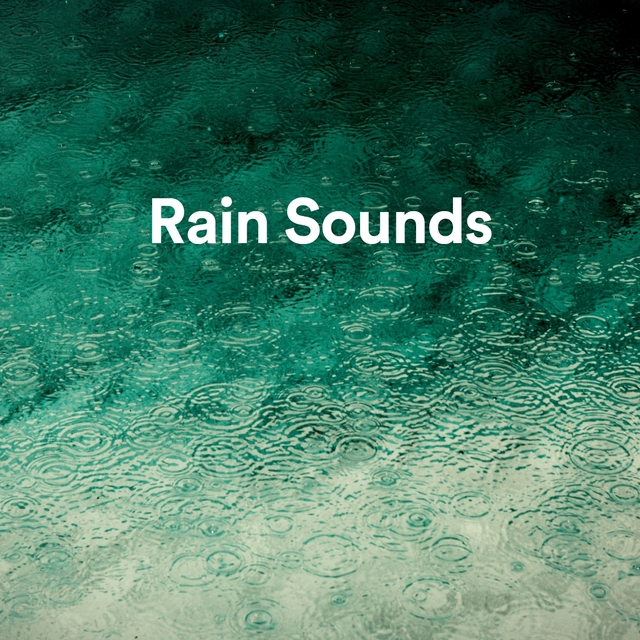 Couverture de Rain Sounds