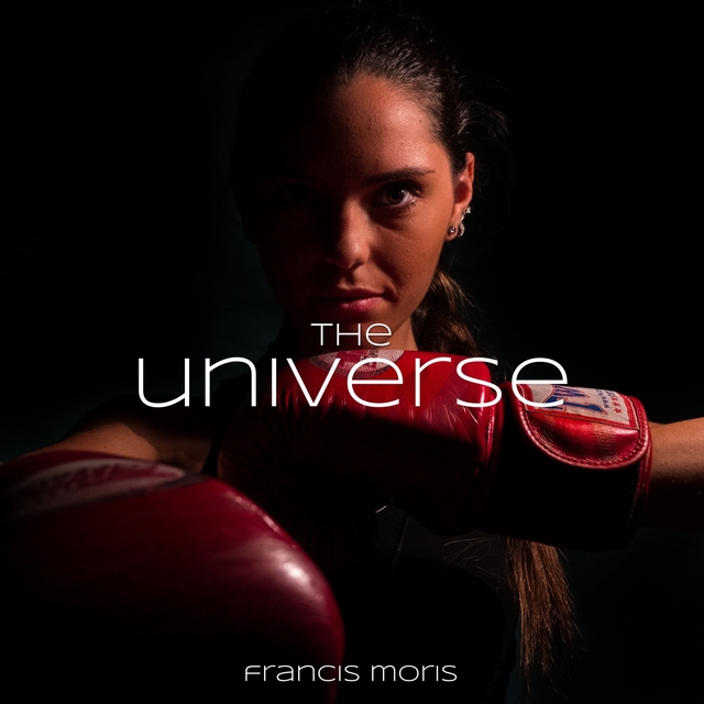 Couverture de The Universe