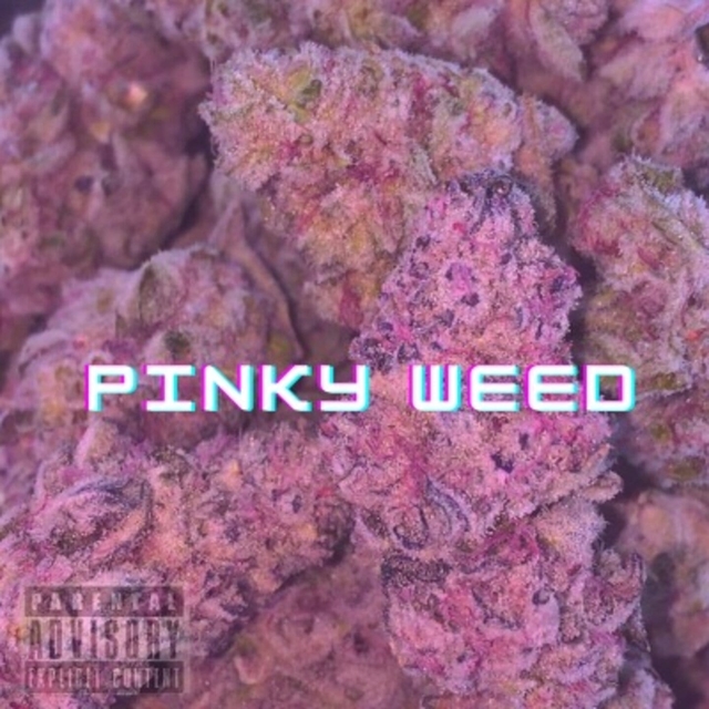 Couverture de Pinky Weed