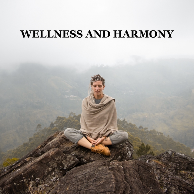 Couverture de Wellness and Harmony