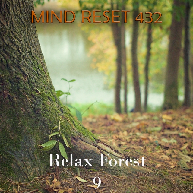 Relax Forest