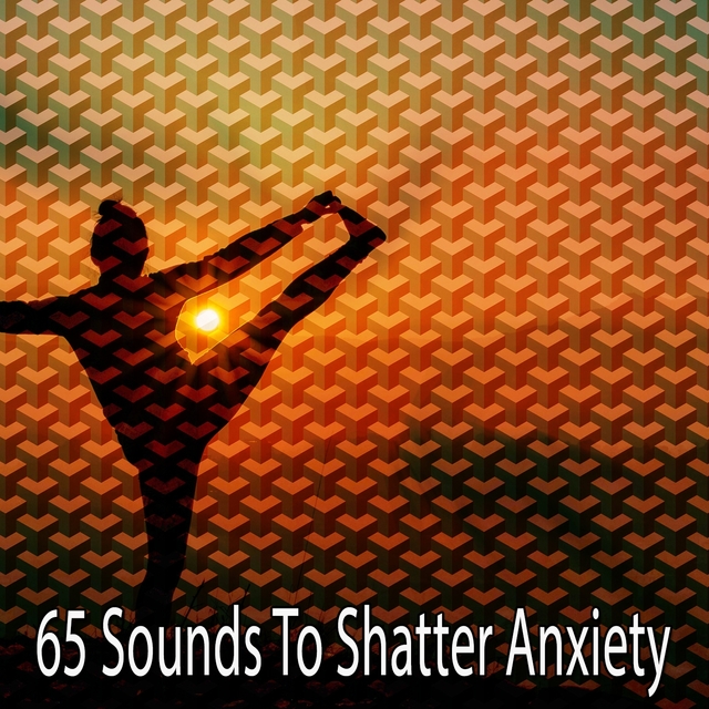 Couverture de 65 Sounds to Shatter Anxiety