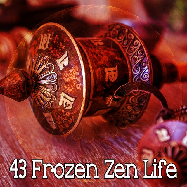 43 Frozen Zen Life