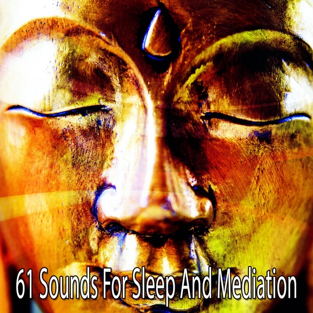 61 Sounds for Sleep and Mediation