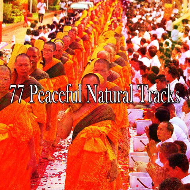 77 Peaceful Natural Tracks