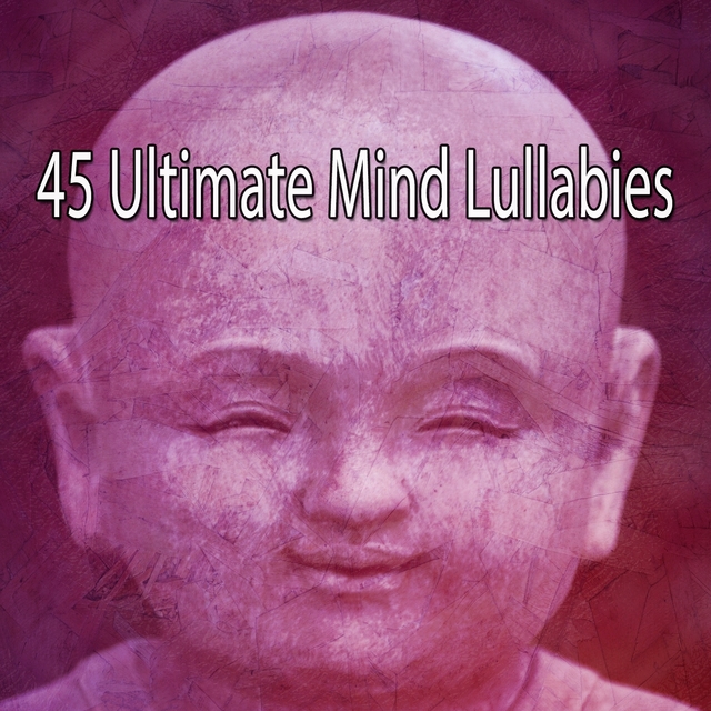 Couverture de 45 Ultimate Mind Lullabies