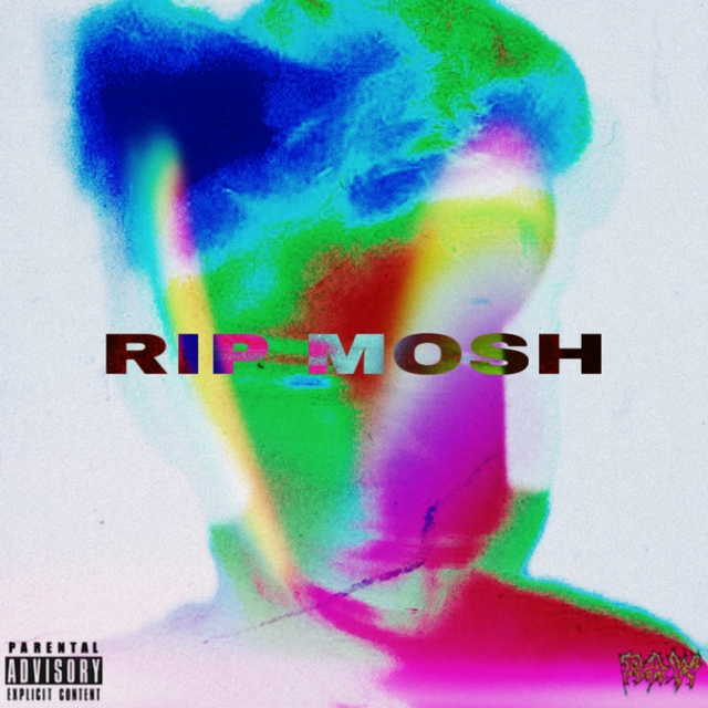 Couverture de RIP Mosh