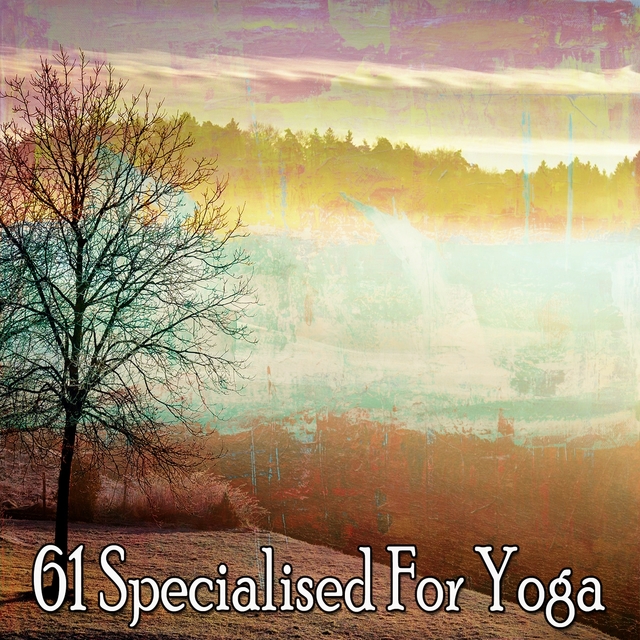 61 Specialised for Yoga