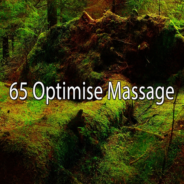 65 Optimise Massage