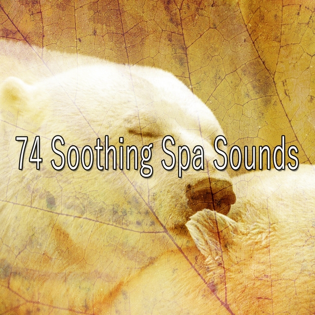 74 Soothing Spa Sounds