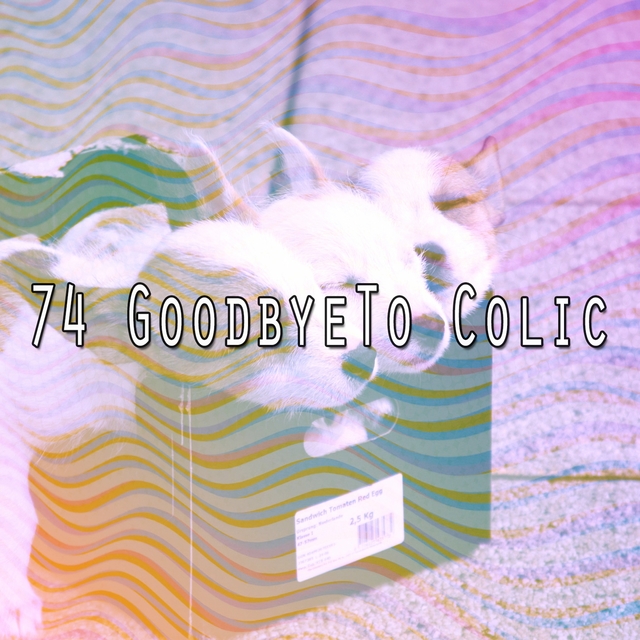 74 Goodbyeto Colic