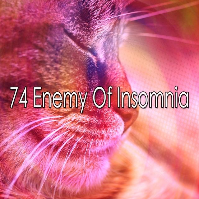 74 Enemy of Insomnia