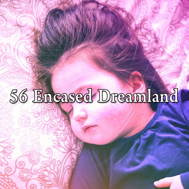 56 Encased Dreamland