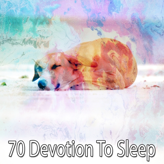 70 Devotion to Sle - EP