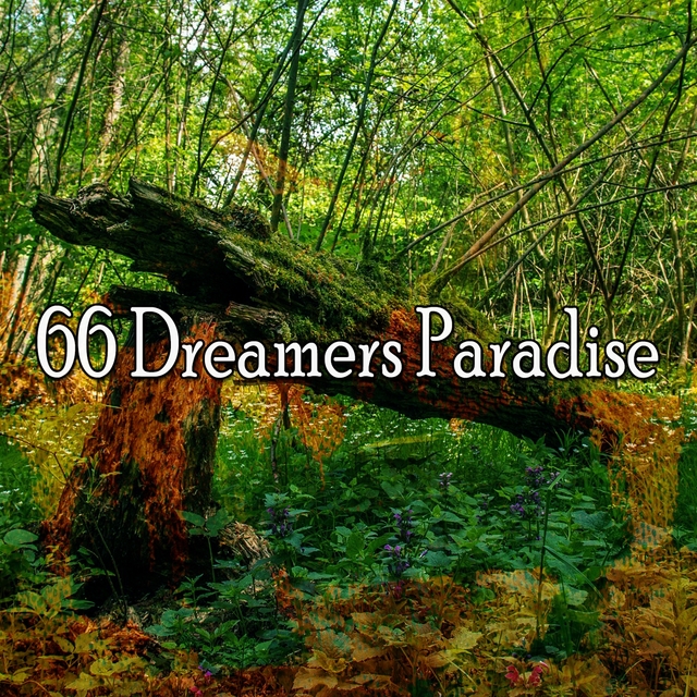 66 Dreamers Paradise