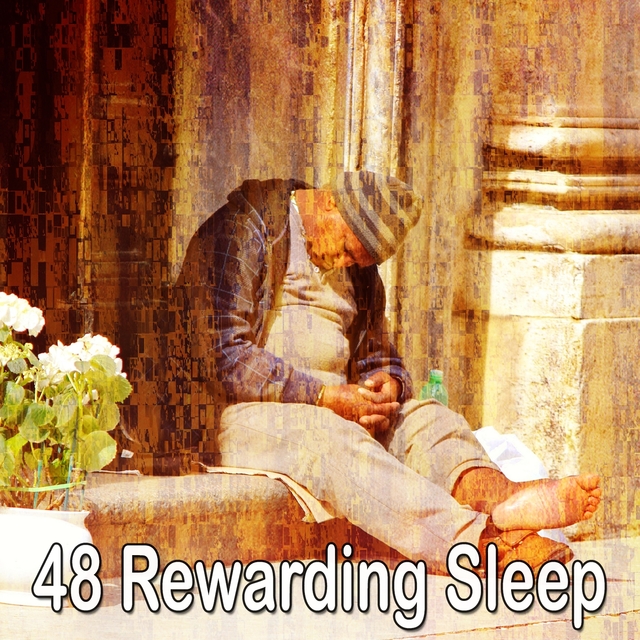 48 Rewarding Sle - EP