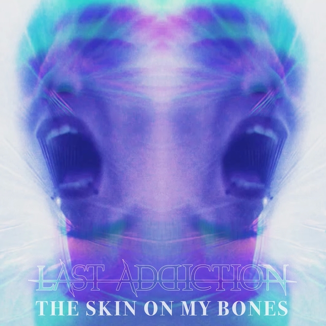 Couverture de The Skin on My Bones