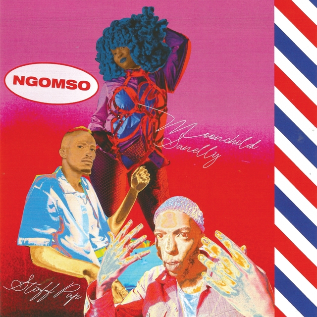 Couverture de Ngomso