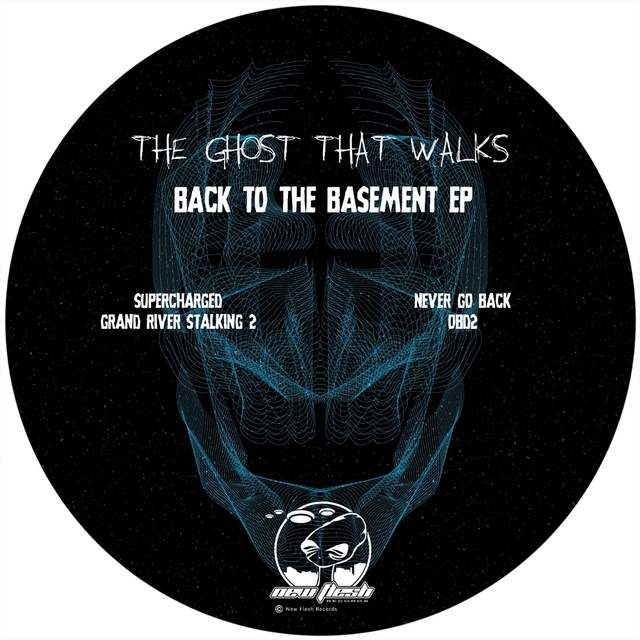 Couverture de Back to the Basement