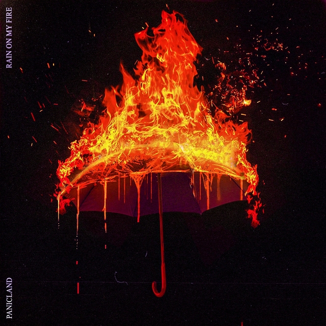 Couverture de Rain on My Fire