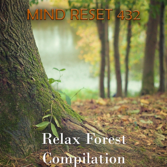 Relax Forest