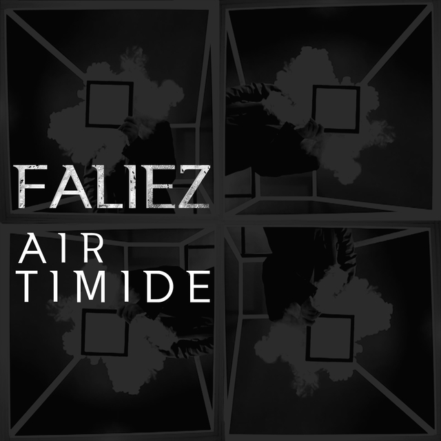 Couverture de Air timide