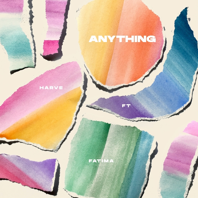 Couverture de Anything