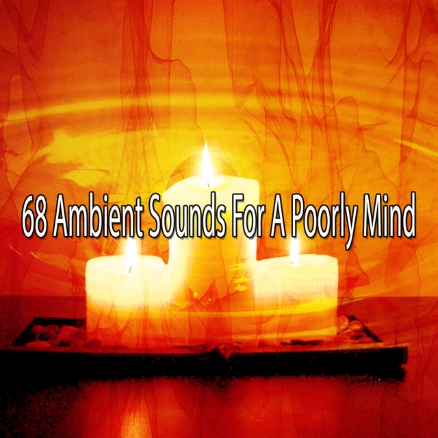 Couverture de 68 Ambient Sounds for a Poorly Mind