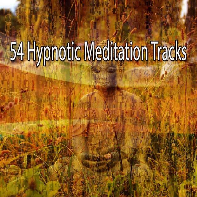 54 Hypnotic Meditation Tracks