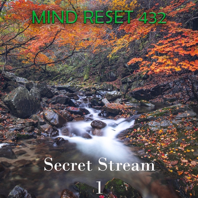 Secret Stream