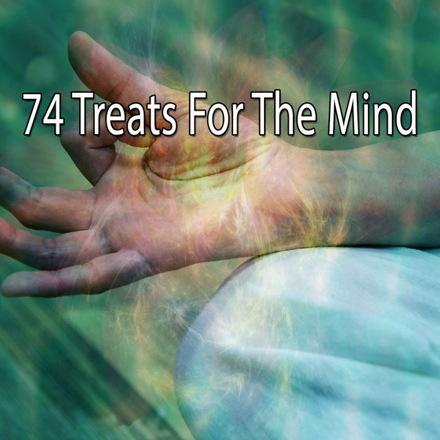 Couverture de 74 Treats for the Mind