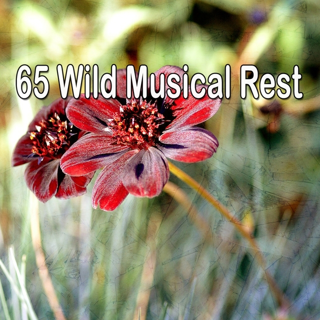 65 Wild Musical Rest