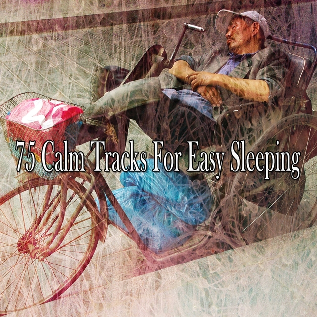 Couverture de 75 Calm Tracks for Easy Sleeping