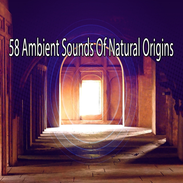 Couverture de 58 Ambient Sounds of Natural Origins