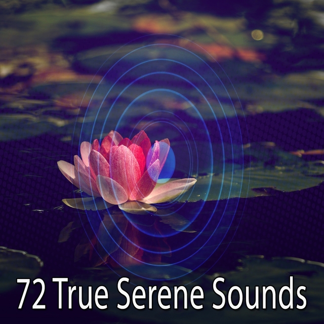 Couverture de 72 True Serene Sounds