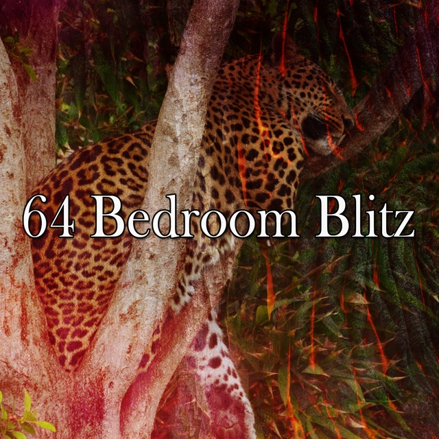 64 Bedroom Blitz