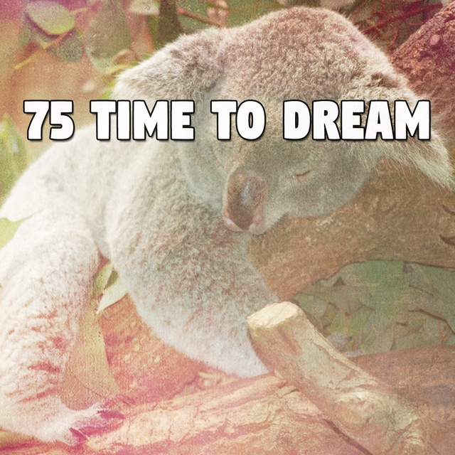 Couverture de 75 Time to Dream