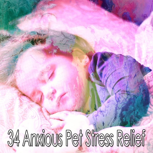 34 Anxious Pet Stress Relief